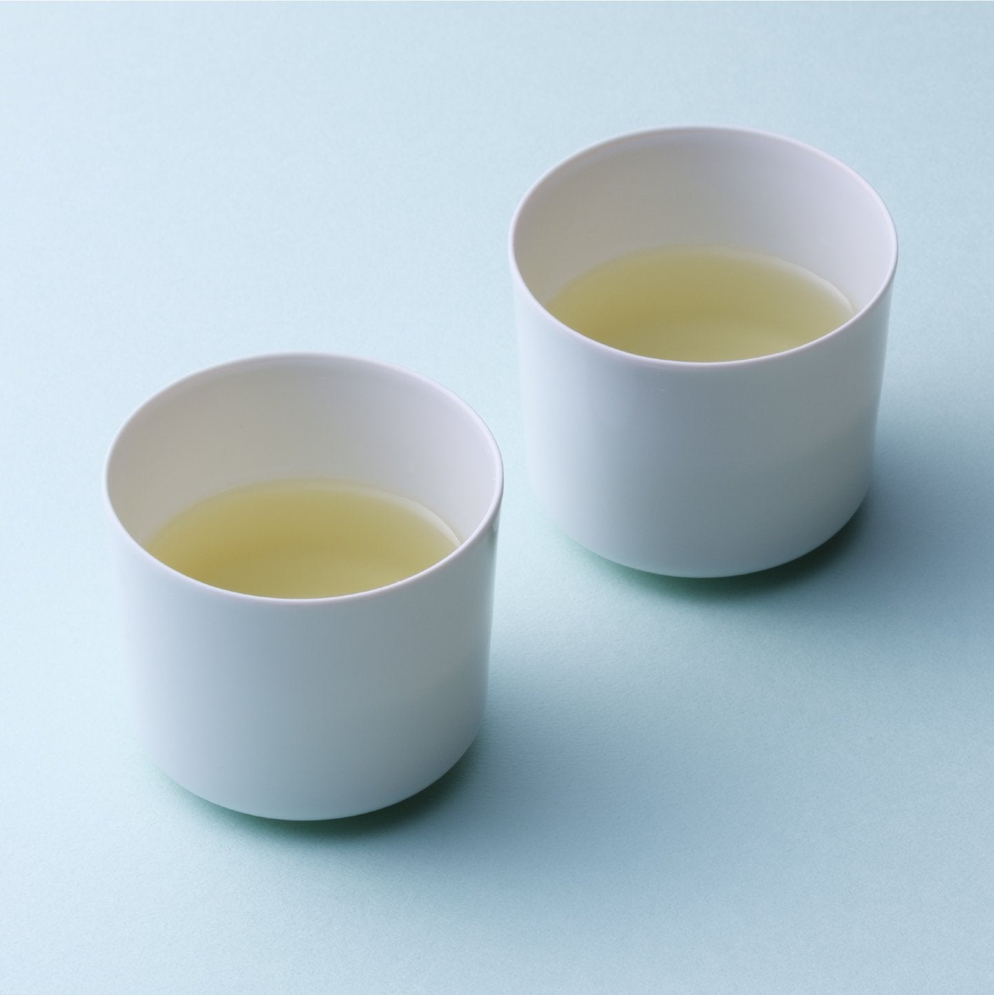 Basic Sencha